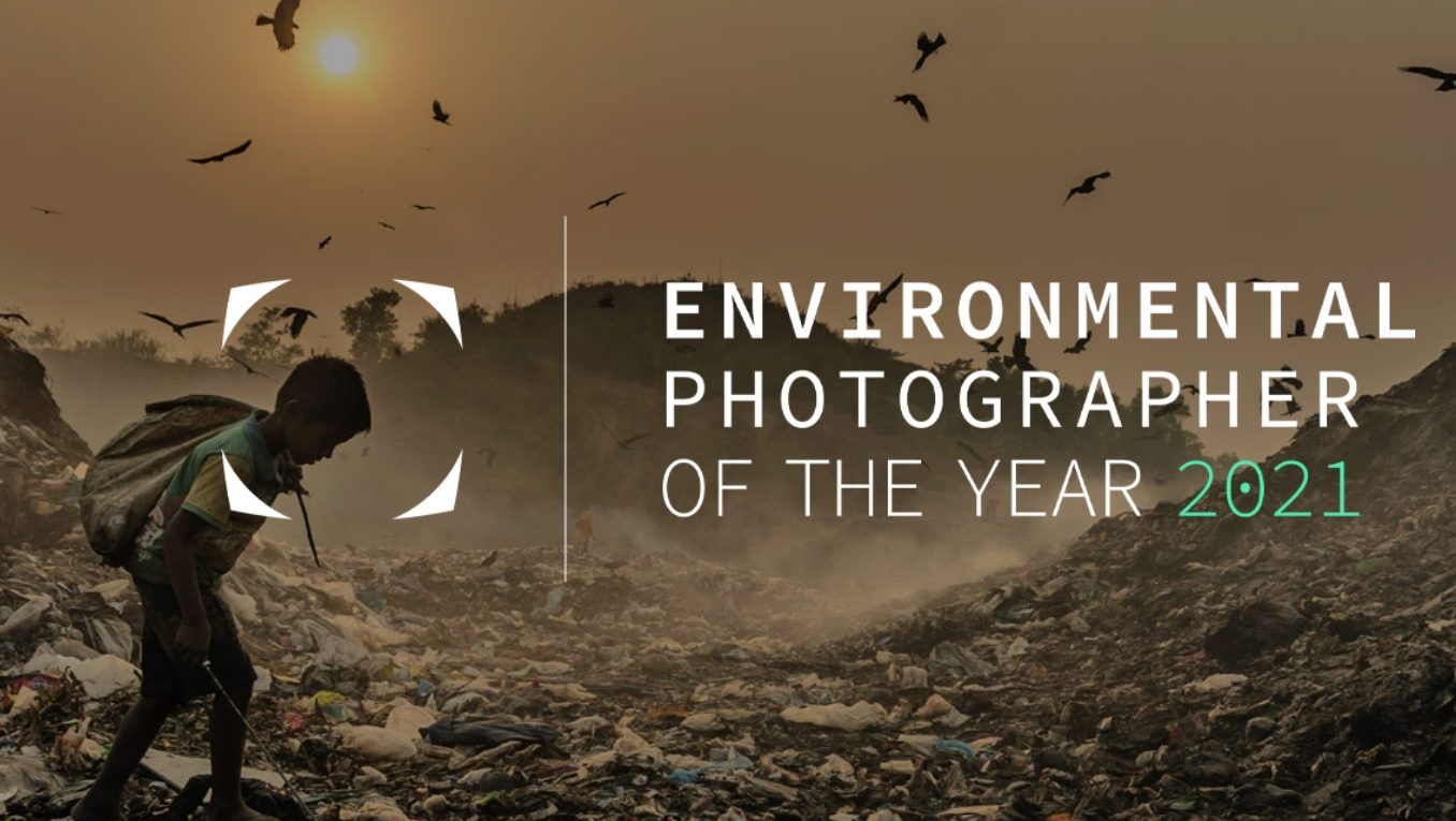 Nikon „Environmental Photographer of the Year“