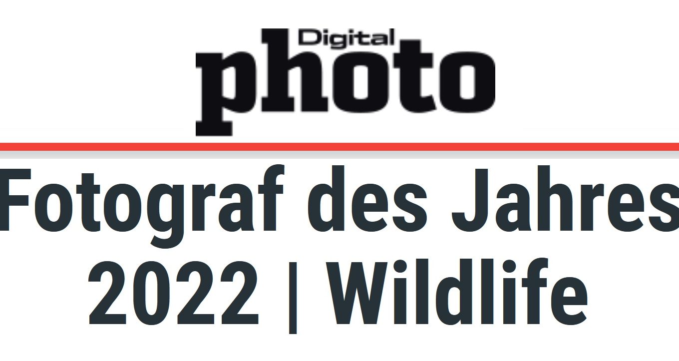 digitalphoto-fotograf-des-jahres-wildlife-2021