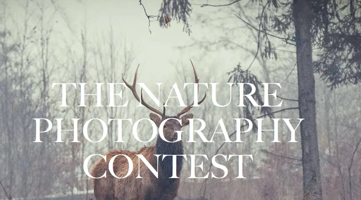 NATURE PHOTOGRAPHY CONTEST