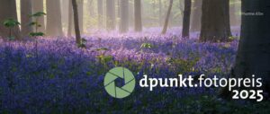 dpunkt.fotopreis