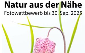 Natur aus der Nähe