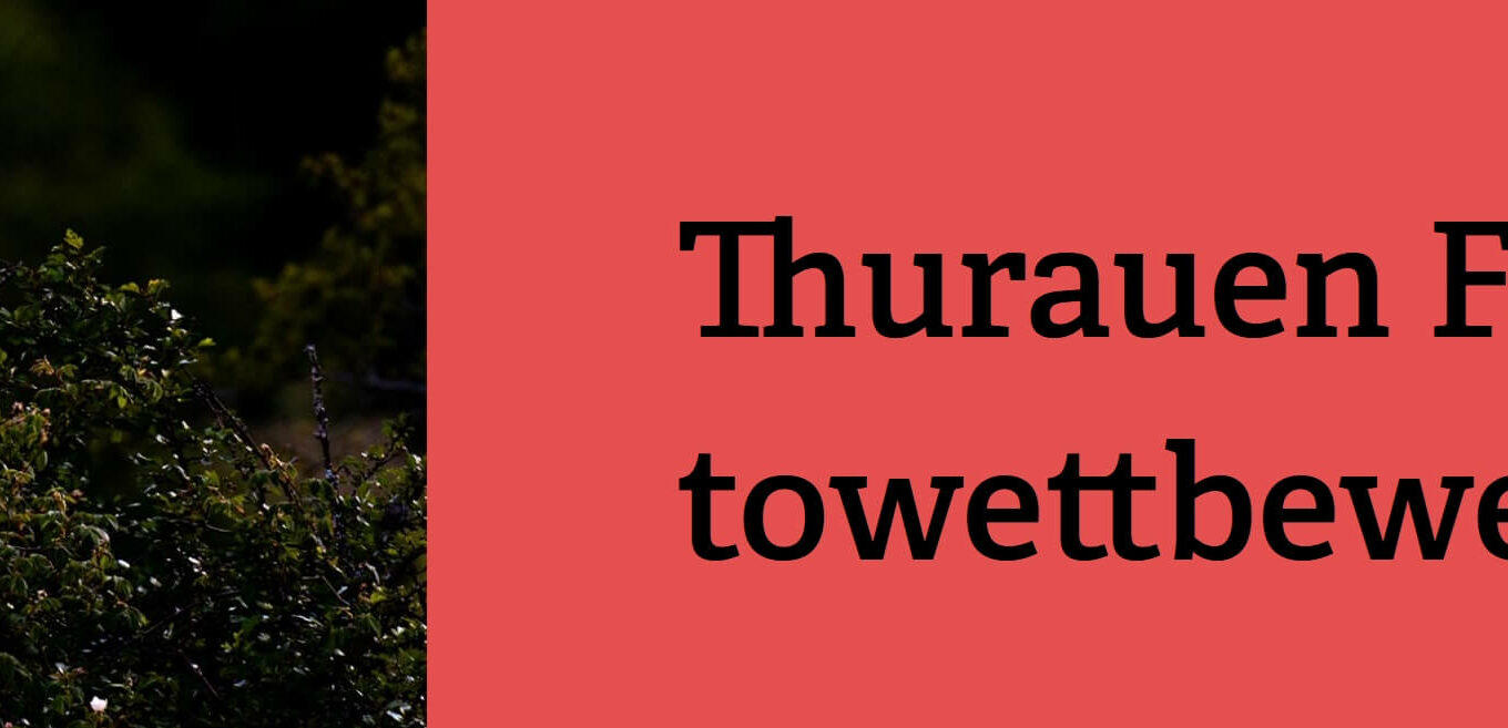 Thurauen Fotowettbewerb
