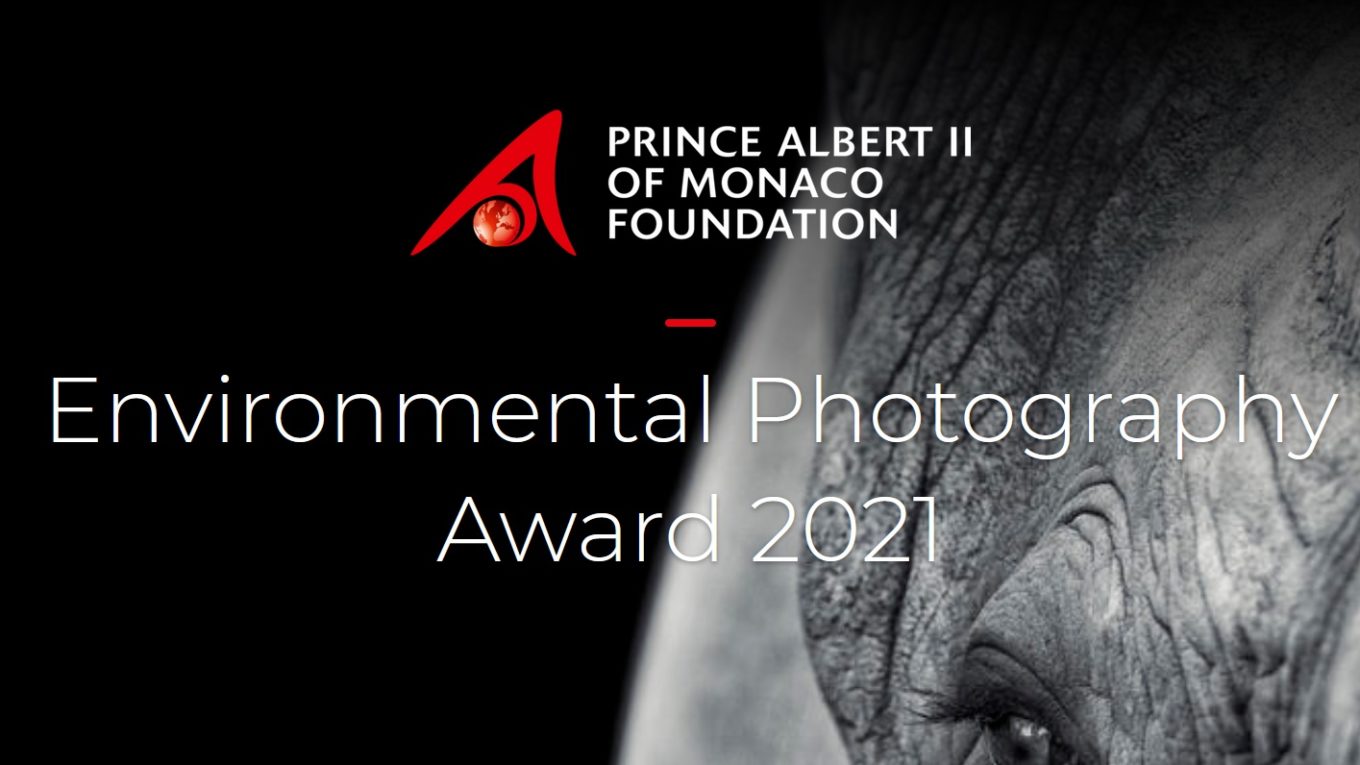 Environmental Photography Award 2021