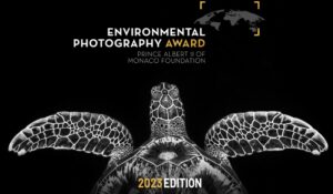 Environmental Photography Award