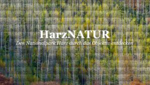 Fotowettbewerb HarzNATUR