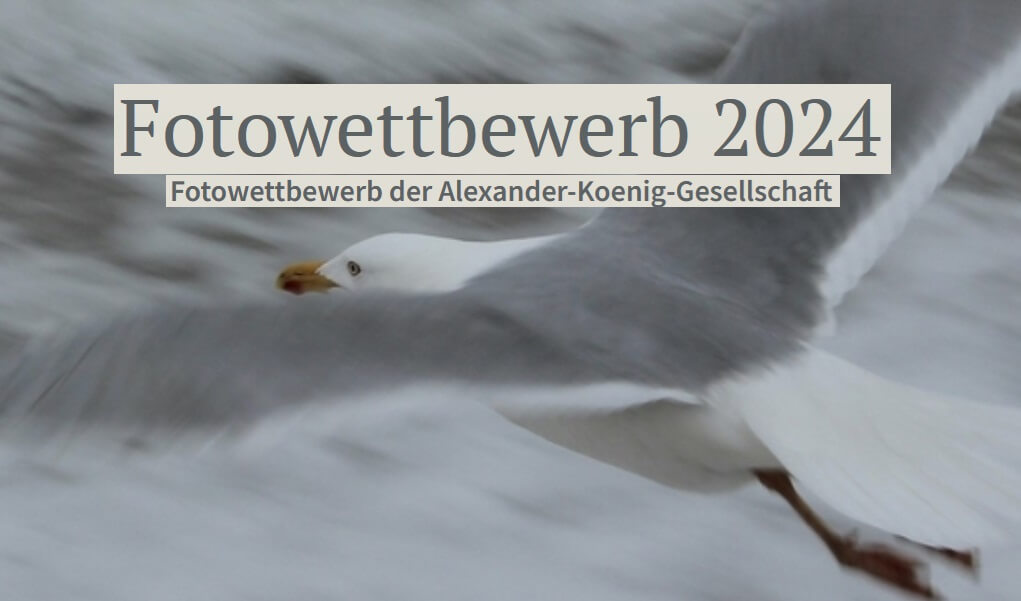 Fotowettbewerb der Alexander-Koenig-Gesellschaft