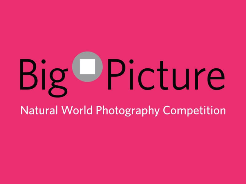 BigPicture Naturfotografie-Wettbewerb