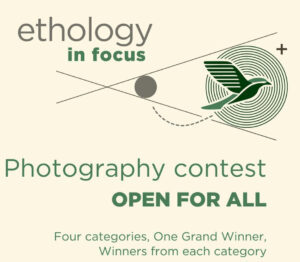 Ethology in Focus