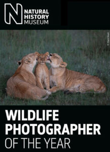 Wildlife Photographer of the Year