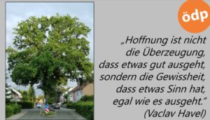 Fotowettbewerb der ÖDP Nürnberg zur Kommunalwahl