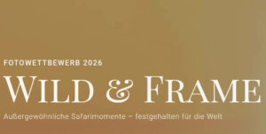 Wild & Frame