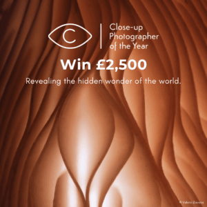 Close-up Photographer of the Year
