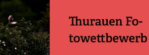 Thurauen Fotowettbewerb