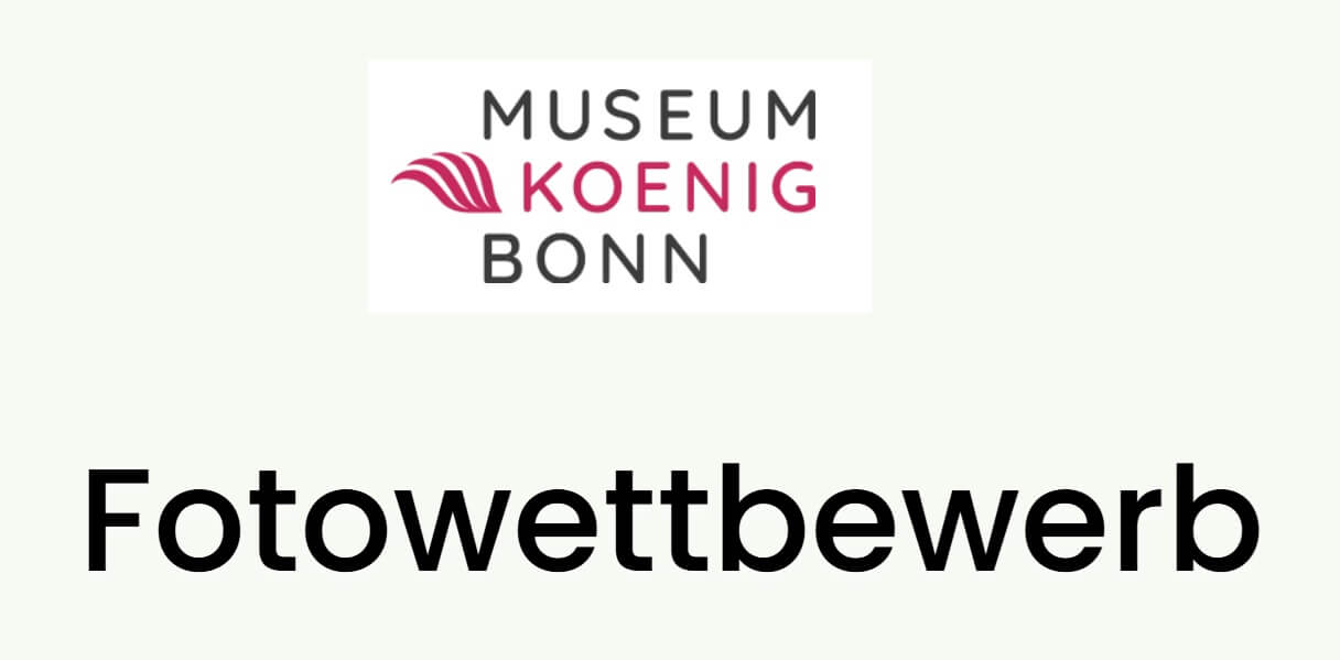 Fotowettbewerb Museum Koenig Bonn
